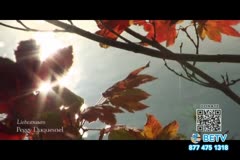 TV Content Image